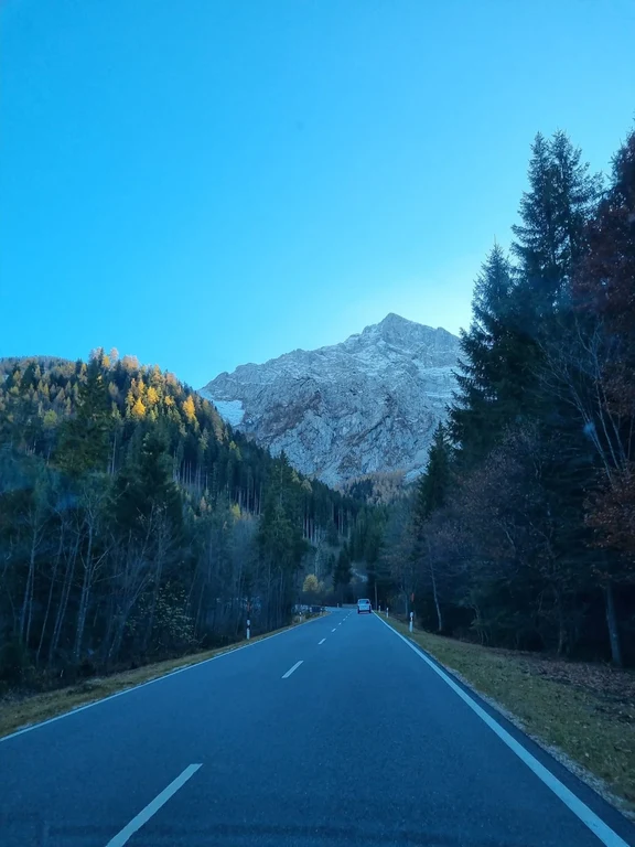 Bild Bus Landschaft.webp