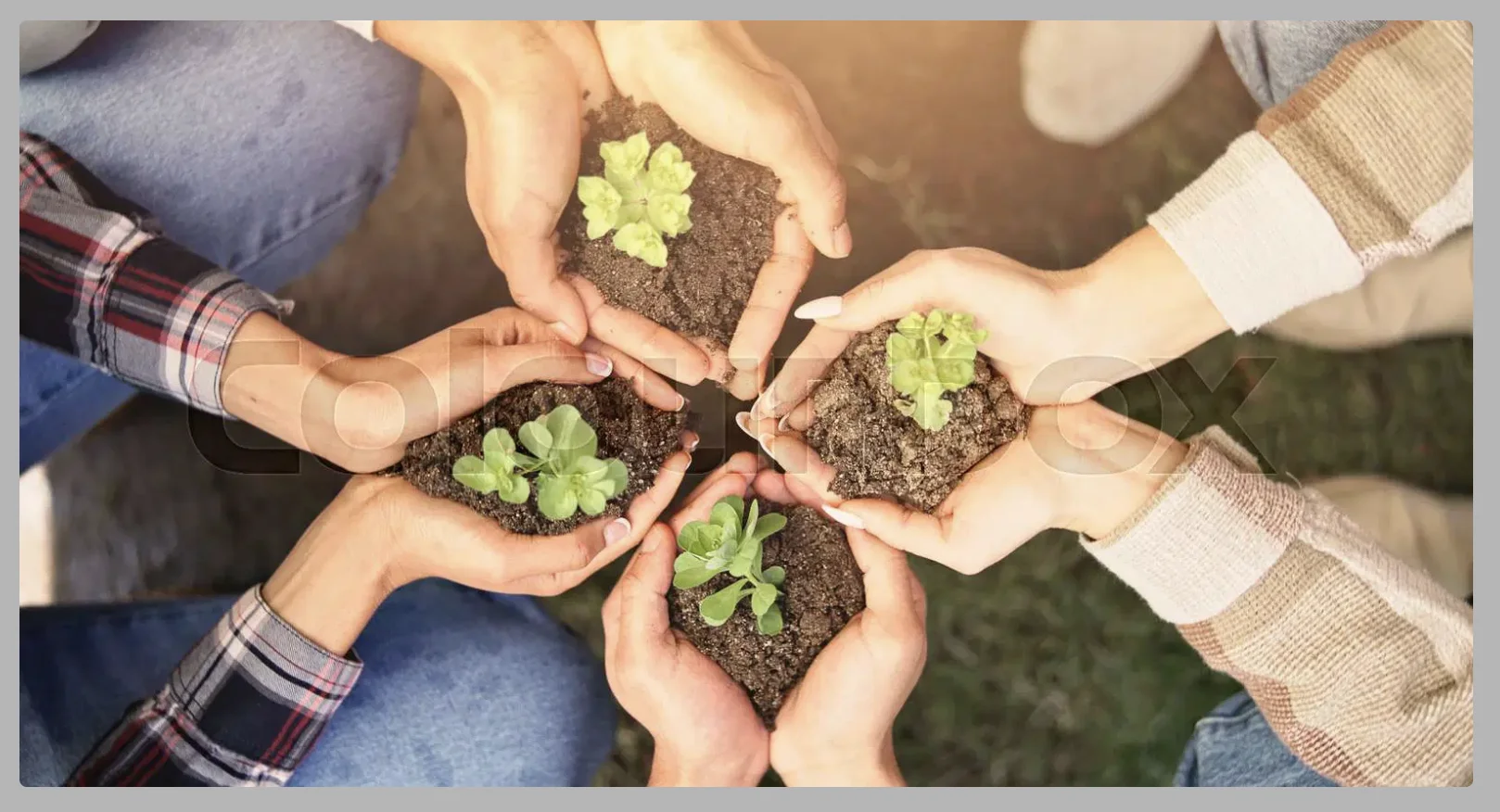 Bildschirmfoto 2025-10-30 um 09.10.01.png