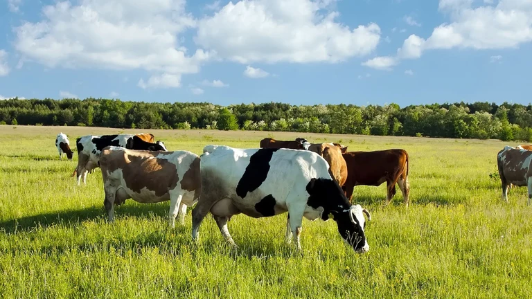 Farm USA